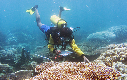 PT Hatfield Indonesia and WWF collaborate to develop sustainable tourism in the Coral Triangle