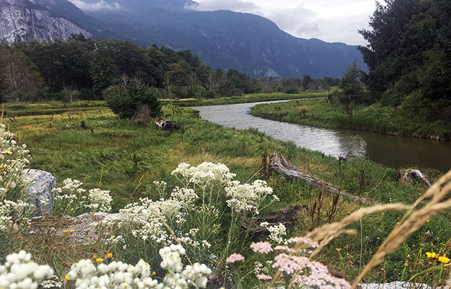 Hatfield at the BC Natural Resources Forum