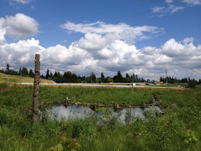 Port Mann/Highway 1 Improvement Project