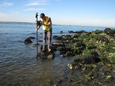 Shoreline Habitat Compensation Monitoring