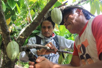 Forest Programme III (REDD+): Central Sulawesi Province