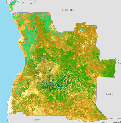 Forest  Distribution Map for the Southern African Development Community (SADC) Region
