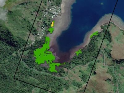 Earth Observation for Sustainable Development (EO4SD) Forest Management