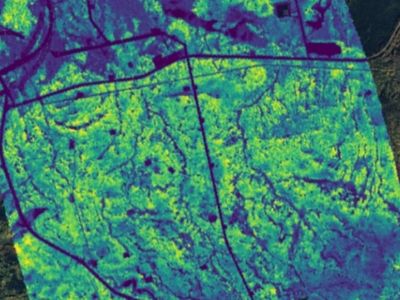 Oil Sands Monitoring (OSM) Program – Leaf Area Index and Vegetation Parameters