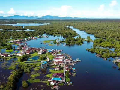 Community-Focused Investment to Address Deforestation and Forest Degradation in West Kalimantan (FIP-1)
