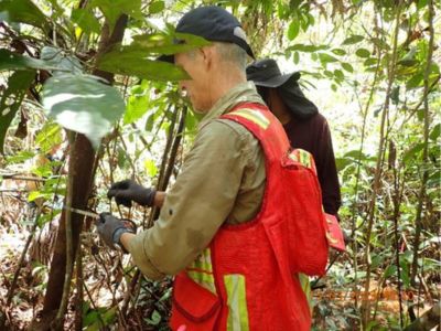 Technical Support for the Development of the Kubu Peatland Project