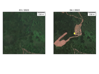 Global Mangrove Watch: Radar Alerts for Mangrove Monitoring (RAMM)