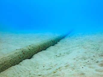 Preliminary Environmental and Social Impact Assessment for the Bangladesh International (Bagha-1) Submarine Cable System