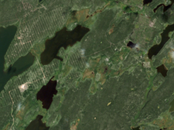AI for Forest Linear Disturbance Detection in Forested Denesųłiné Traditional Territories