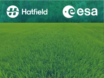 Scientific paper on mapping rice production intensity to support the transition to climate resilient agriculture in Vietnam published in the Canadian Journal of Remote Sensing