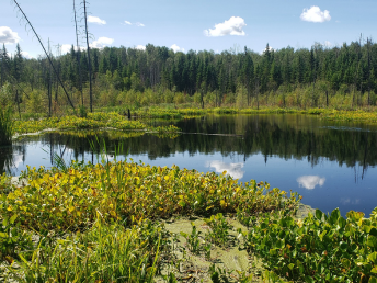 Wood Buffalo Fish Relocation Program