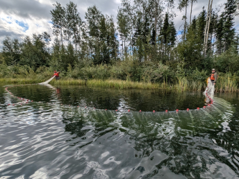 Compensation Lake Design and Monitoring for Fisheries Act Offsetting
